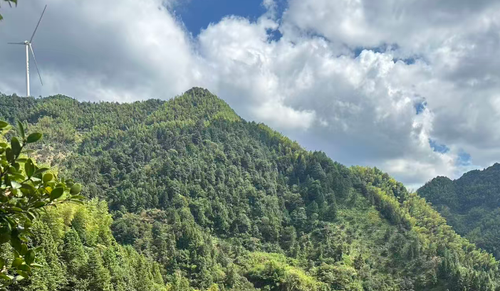 The grand global promotion of Partastar energy storage has kicked off